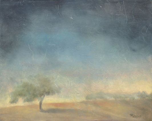 Morning Light in the Valley