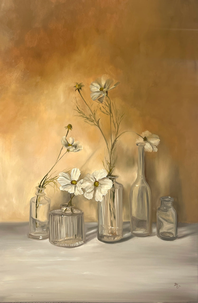 White Cosmos in Glass Vases